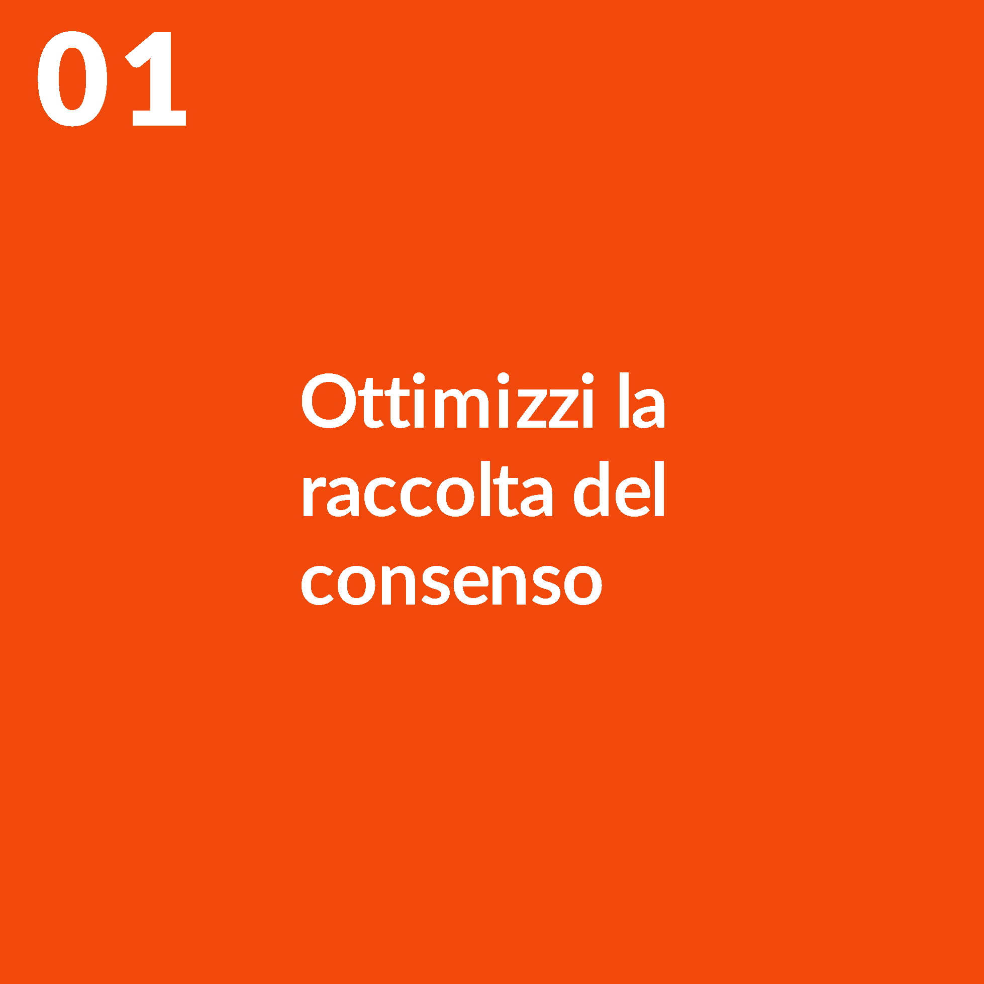 Ottimizza la raccolta